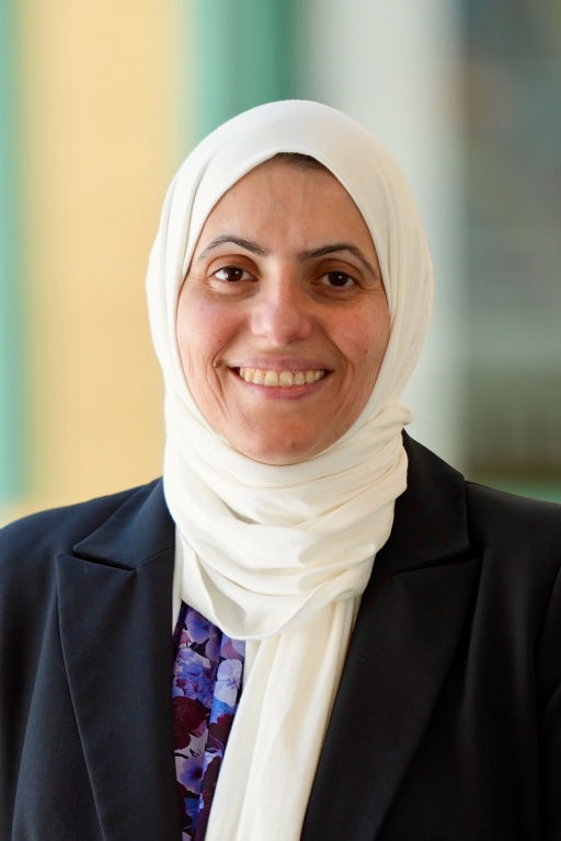 Inas Khayal