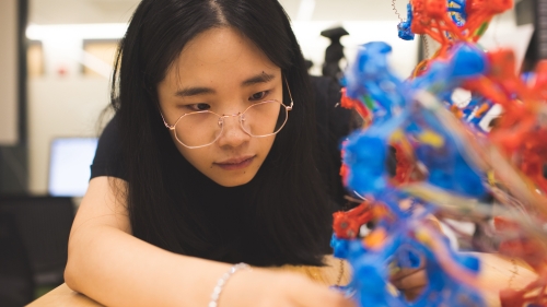 PhD student Luyang Zhao works with soft robotic modules